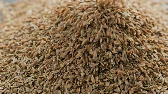 Dry Dill Seeds Pouring on Pile Rotating Closeup with Slomo