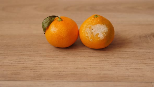 Closeup of a Rotten and Fresh Tangerine on a Wooden Background