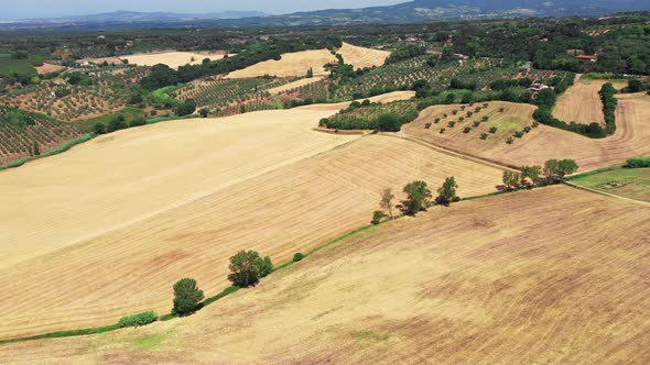 Tuscan Countryside Shot with Drone at Summer Time