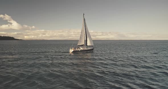 Sun Yachts with White Sails at Ocean Bay Aerial