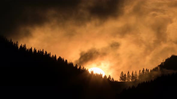 Orange Sunset over Forest