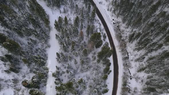 Flying over snow across forest landscape in canyon during winter