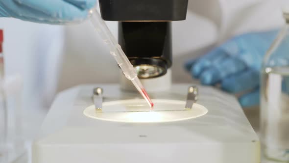 Researcher Preparing Slide With Blood Sample, Examines It Under Microscope