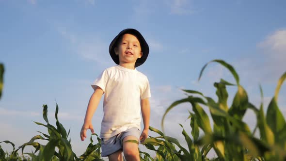 A Little Boy in a Hat Run Through a Cornfield