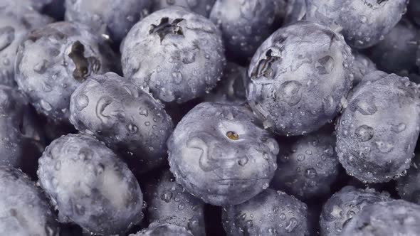 Rotating Fresh Blueberries Under Freshwater 1.