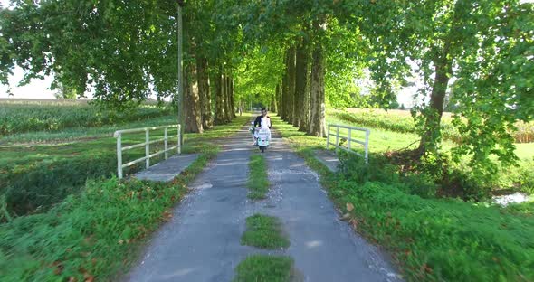 Just married couple driving on scooter through driveway lined with trees