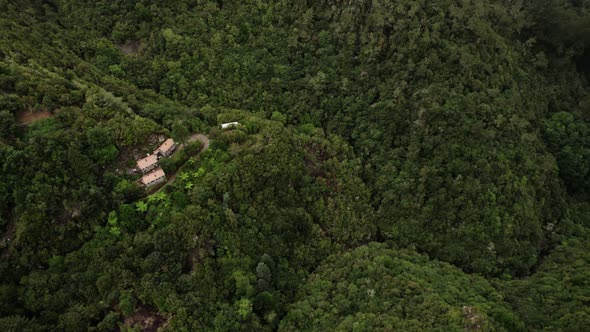 Aerial View of Remote Houses in the Lush Forest of Madeira