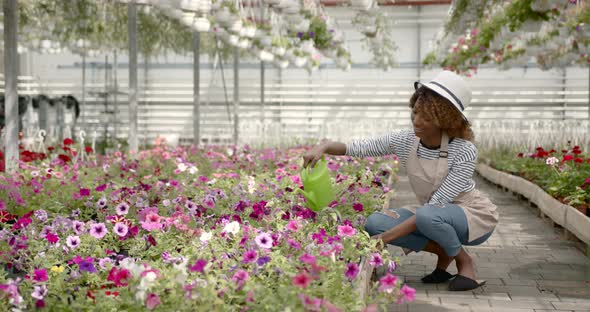 Smiling Woman Watering Plants at Green House