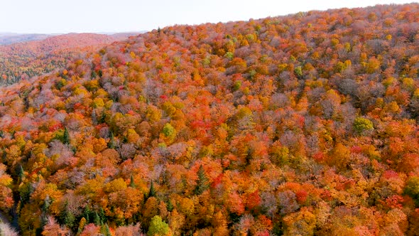 Aerial view of a lake and fall season foliage colors.