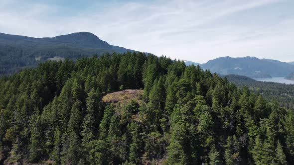 Beautiful forest and valleys surrounding Soames Hill in the picturesque region of Gibsons in, Canada