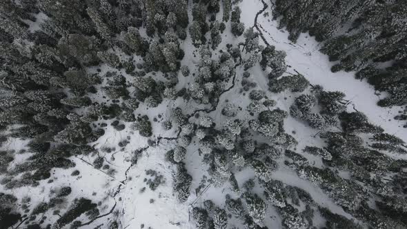 Snowy Peak Mountain