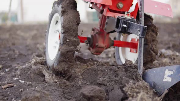 Closeup View of a Cultivator Tiller Preparing Garden Soil New Seeding Season on Organic Home