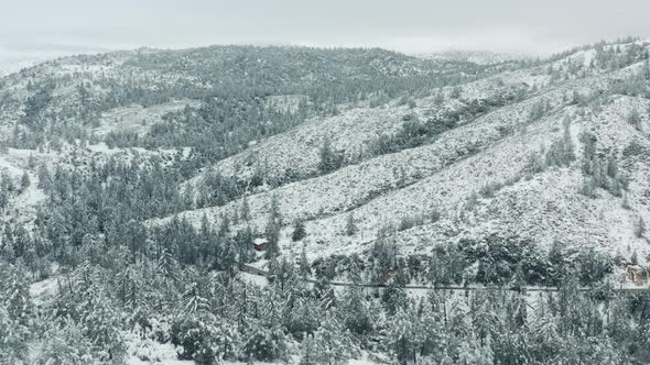 Scenic Winter Landscape