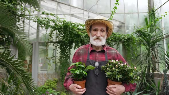 Bearded Mature Man in Hat and Workwear Standing in the Middle of Beautiful Greenhouse