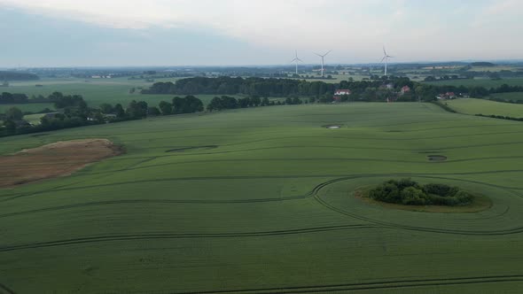 Fling over landscape in German wheat field