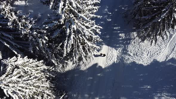 Aerial Flat Lay Two People Walking in a Forest Full with Beautiful Snow on a Sunny Winter Day