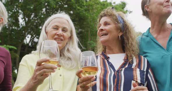 Animation of diverse happy senior female and male friends toasting with wine in garden