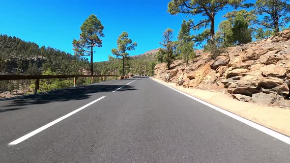 Road in Teide National Park, Tenerife, Canary Islands, Spain