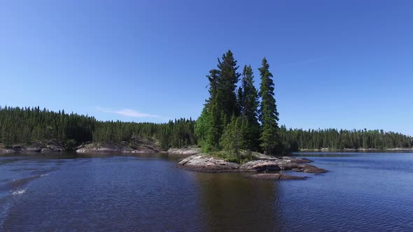 Lake shore with coniferous trees