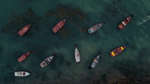 Old Boats are Standing Near the Shore in Muddy Water with Algae