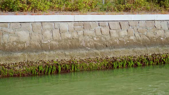 Canal Stone Border with Algal Bloom Near Contaminated Water
