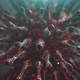 Rotating Coronavirus Background Loop 4k - VideoHive Item for Sale