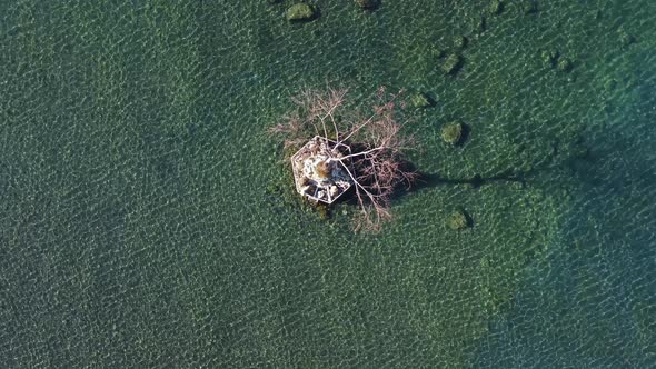 Drone view of a tree in the middle of the lake