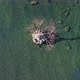 Drone view of a tree in the middle of the lake - VideoHive Item for Sale