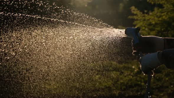 Hands Watering Plant with Water Hose Sprinkler in the Garden