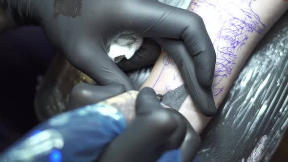 Professional Tattoo Artist Colours Person Arm Black