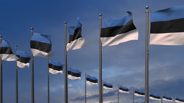 The Estonia Flags Waving In The Wind  - 4K