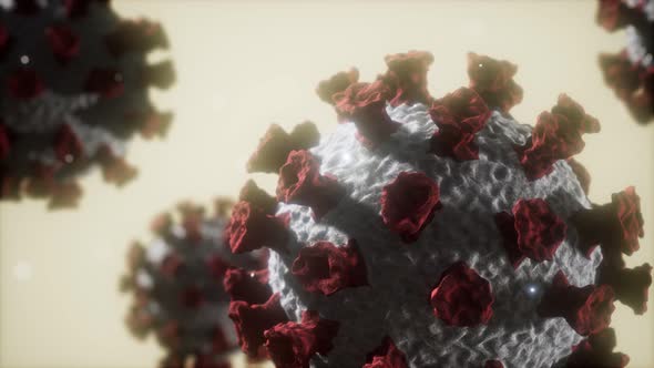 Corona Virus Covid 19 Macro Model alt