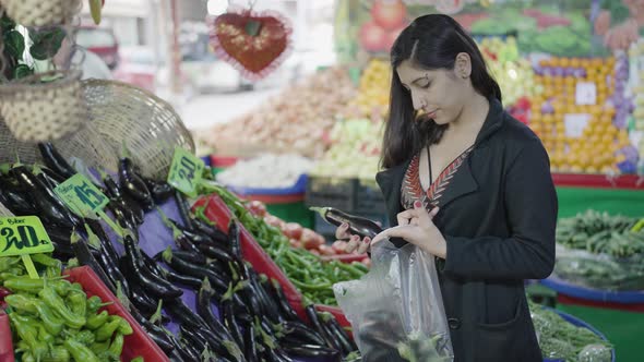 Young attractive woman shopping at the greengrocer choosing eggplant