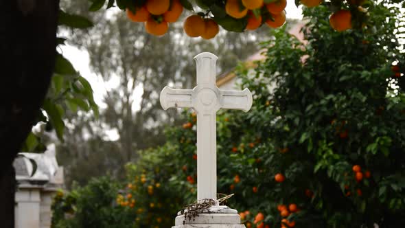 Stone Cross on a Grave