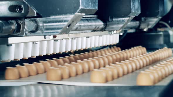 Automated Mechanism is Fabricating Fudge Candies