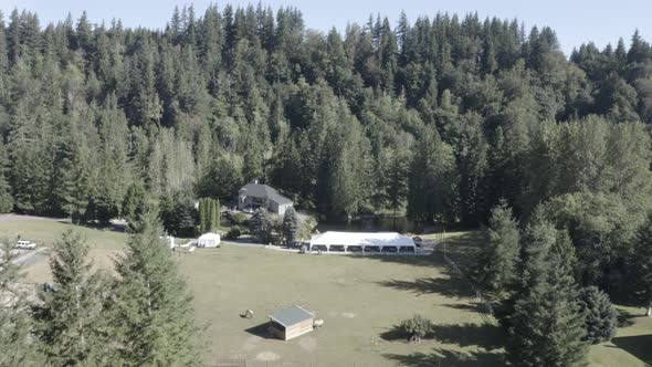 Farm and lake in the middle of the forest among pine trees and green fields.