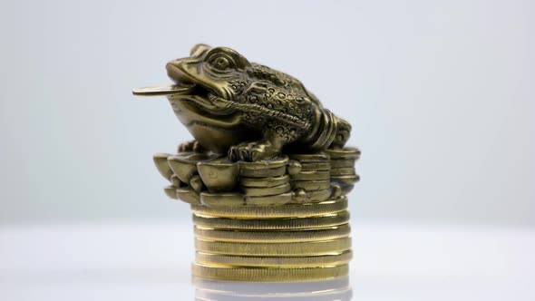 Frog Sitting on a Top of Coins Pile.