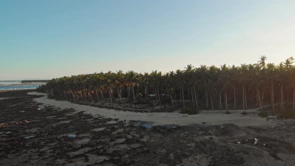 Lodge under palm trees, General Luna, Siargao Island, Philippines