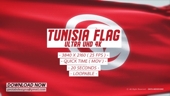 Tunisia Flag - Ultra UHD 4K Loopable