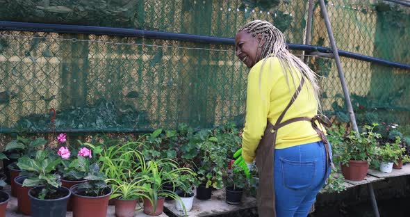 African senior woman working inside greenhouse garden - Nursery and spring concept