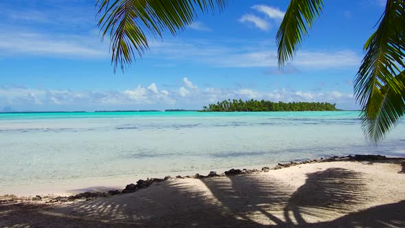 Tropical Beach with Palm Tree in French Polynesia 