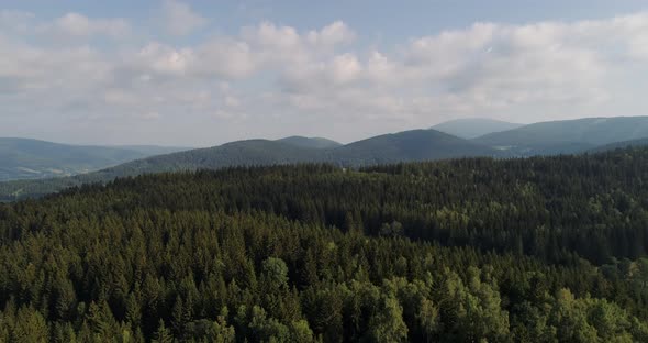 Beautiful View of Forest and Fields Aerial