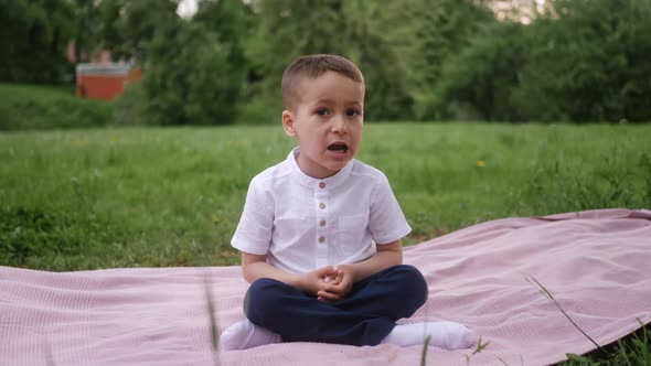 Boy Child in a White Tshirt Sits on a Blanket on a Green Lawn in Summer and Looks at the Camera