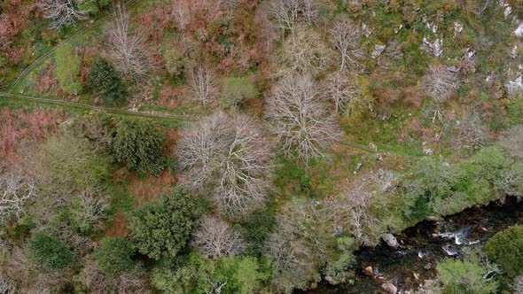 Rio Sor through a valley with forests and a mountain path in spring. Drone shot traveling laterally