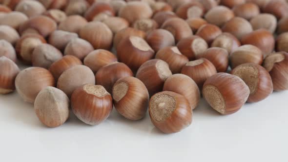 Ripe hazelnuts on white background close-up 4K 2160p 30fps UltraHD tilting footage - Nuts of the spe