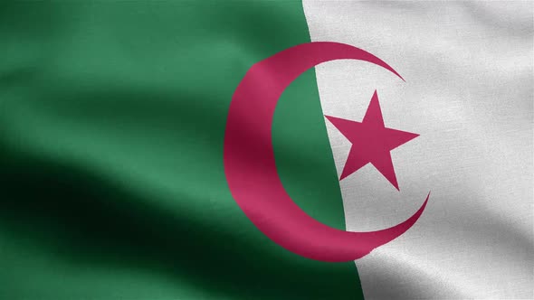 Algeria Flag Seamless Closeup Waving Animation