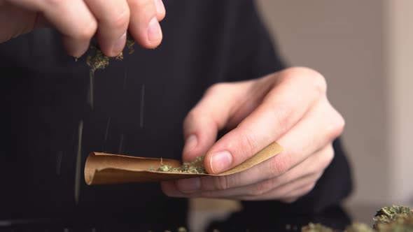 Man Rolling a Marijuana Weed Blunt. Light Licks Color Toned Light Leaks Marijuana Joint with Lighter