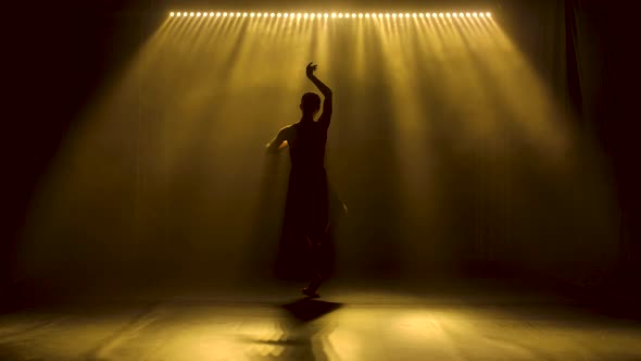 Professional Ballerina Dancing Ballet in Spotlights and Smoke on Stage, Silhouette of a Beautiful