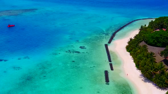 Aerial view sky of tourist beach wildlife by blue ocean and sand background