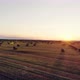 Field with Straw Bales Under Sunset Sky  Drone Aerilal Shot - VideoHive Item for Sale